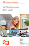 Dachausbau